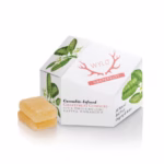 Grapefruit 1:1:1 CBG:CBC + Sativa Enhanced Gummies-WYLD